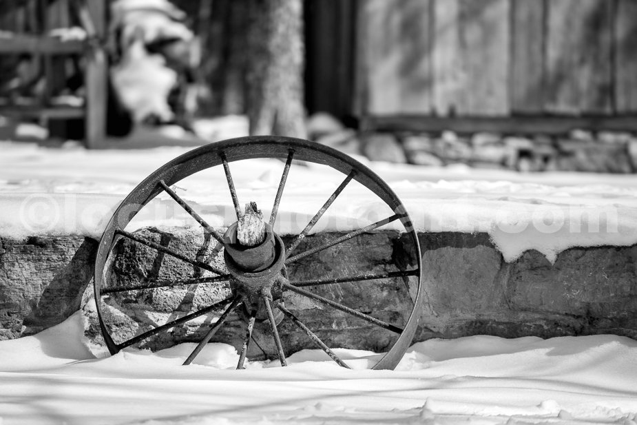 J21_Wheel_in_the_Snow_5334_BW.jpg