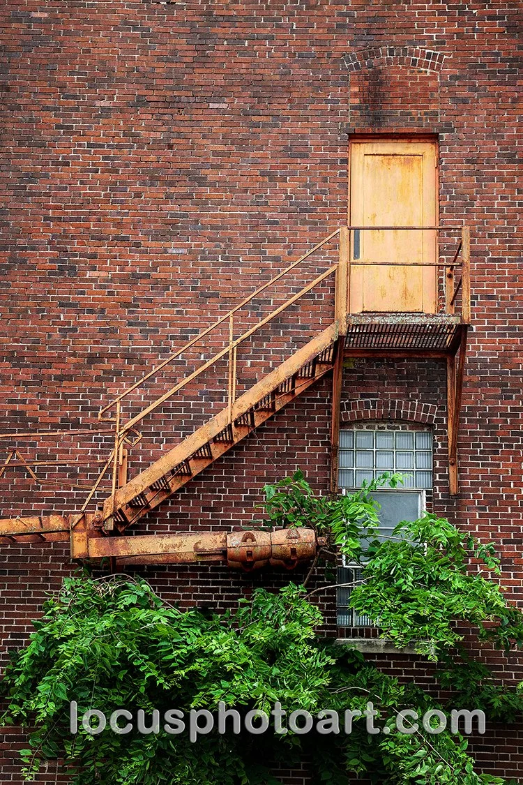 WEB J24 Escape to the Urban Jungle 0087.jpg