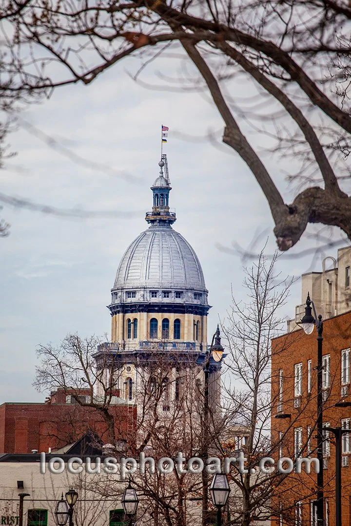 J22 View from the Lincoln Home 8487 FB.jpg