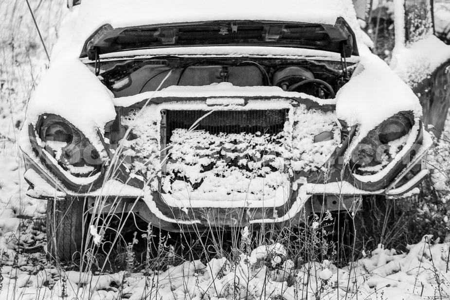 J21_Four-Eyed_Car-eature_3397_BW.jpg