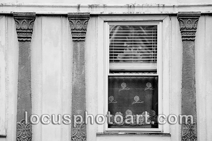 Sunflower Window 9504 BW FB.jpg