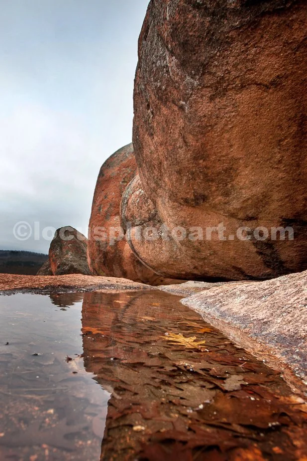 J21_Elephant_Rock_Reflected_6310.jpg