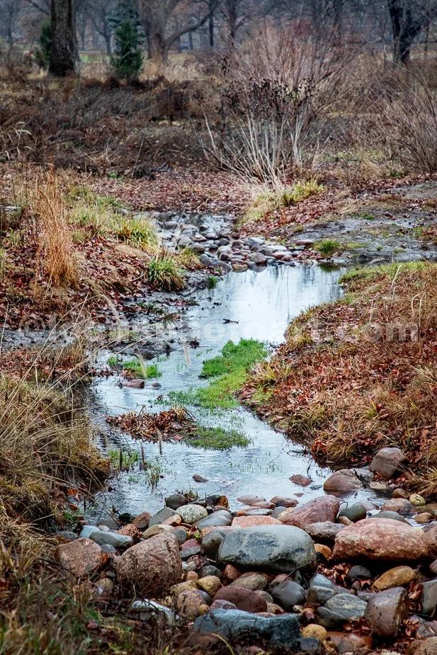 J24_Meandering_Creek_at_Tower_Grove_Park_3091.jpg