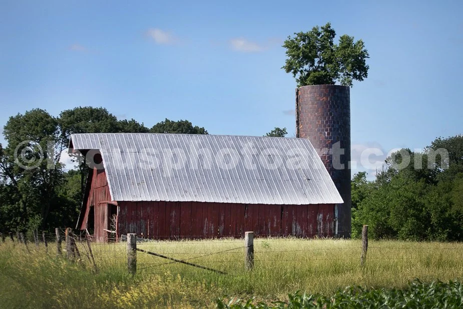 J24_Barn_with_Silo_Tree_9352.jpg
