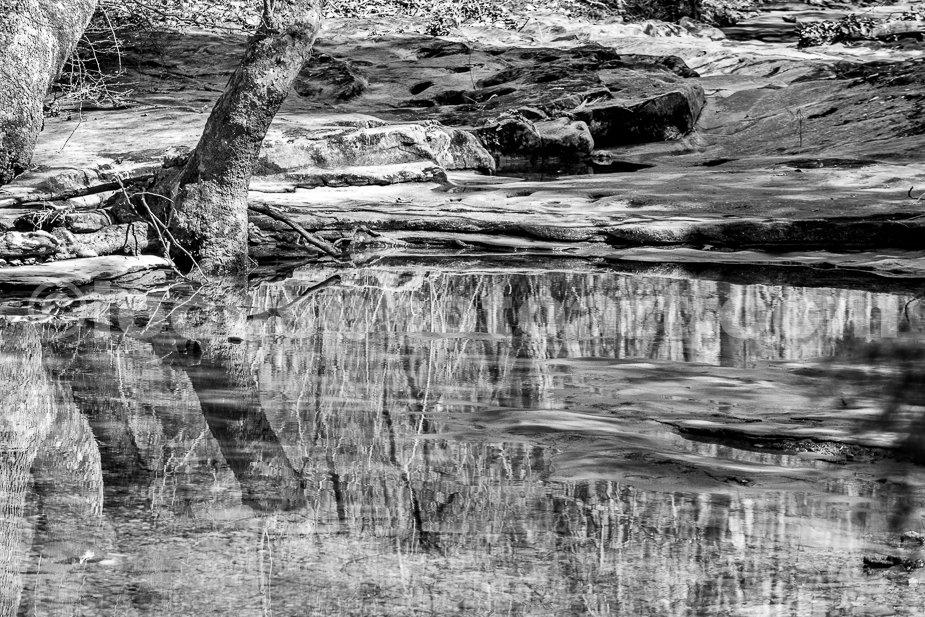 J21_Dry_Wash_Reflections_5549_BW.jpg
