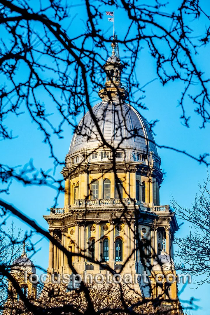 J22 Capitol Through the Trees 0761 FB.jpg