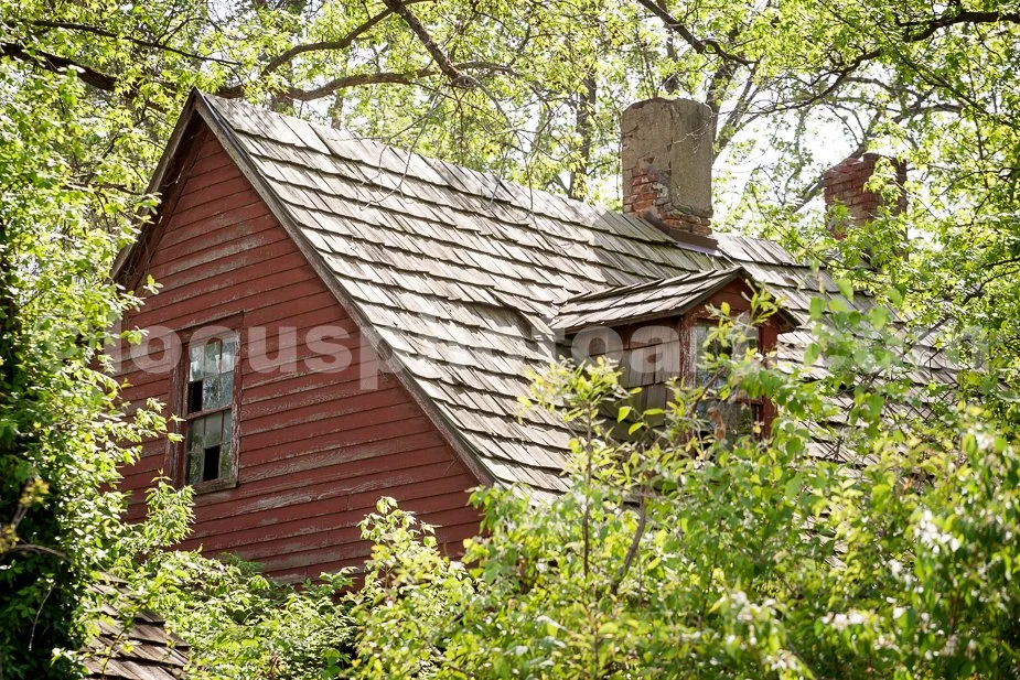 J16_Little_House_in_the_Woods_2955.jpg