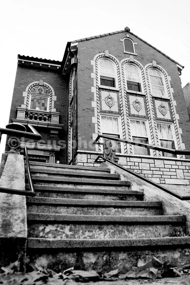 House_in_Tower_Grove_9394_BW.jpg