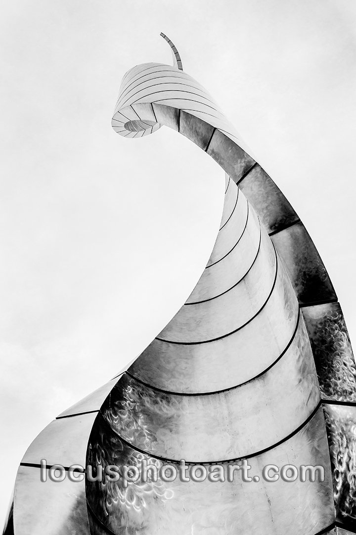 J21 Reaching for Heaven 7469 Hi-C BW FB.jpg