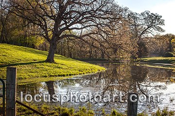 WEB J19 Easter Sunday Cow Pond 8904.jpg