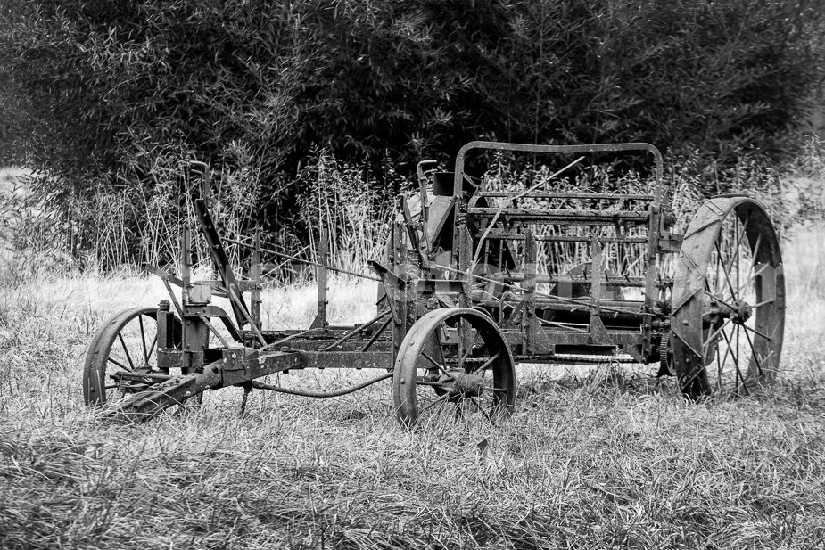 J21_Spreader_on_the_Lawn_3920_BW.jpg