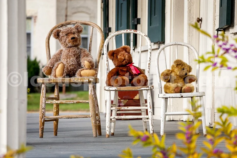 J20_The_Bear_Family_at_Home_0280.jpg