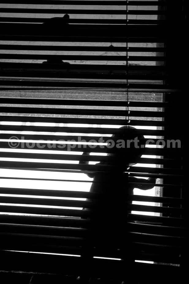 J23_Peeking_Through_the_Blinds_3894_BW.jpg