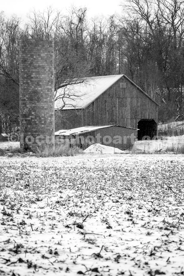 J21_Southern_Illinois_February_4685_BW.jpg