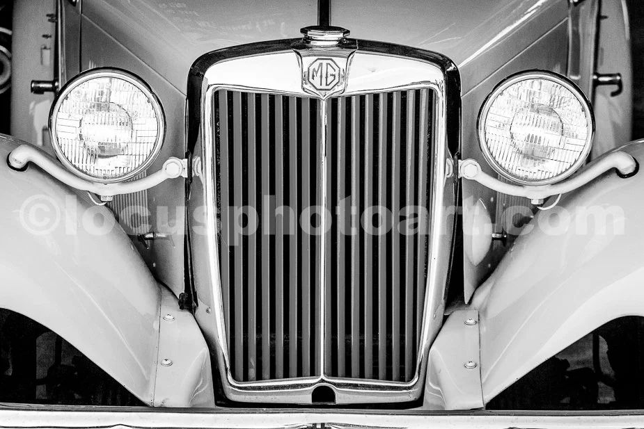 J20_MG_Grille_8337_BW.jpg