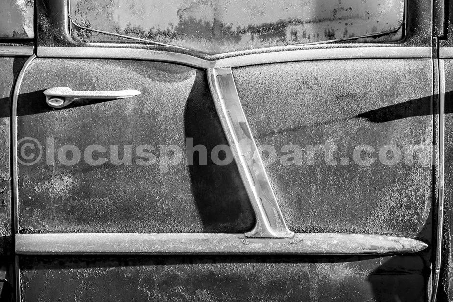 J23_Rust_and_Bright_Trim_2481_BW.jpg