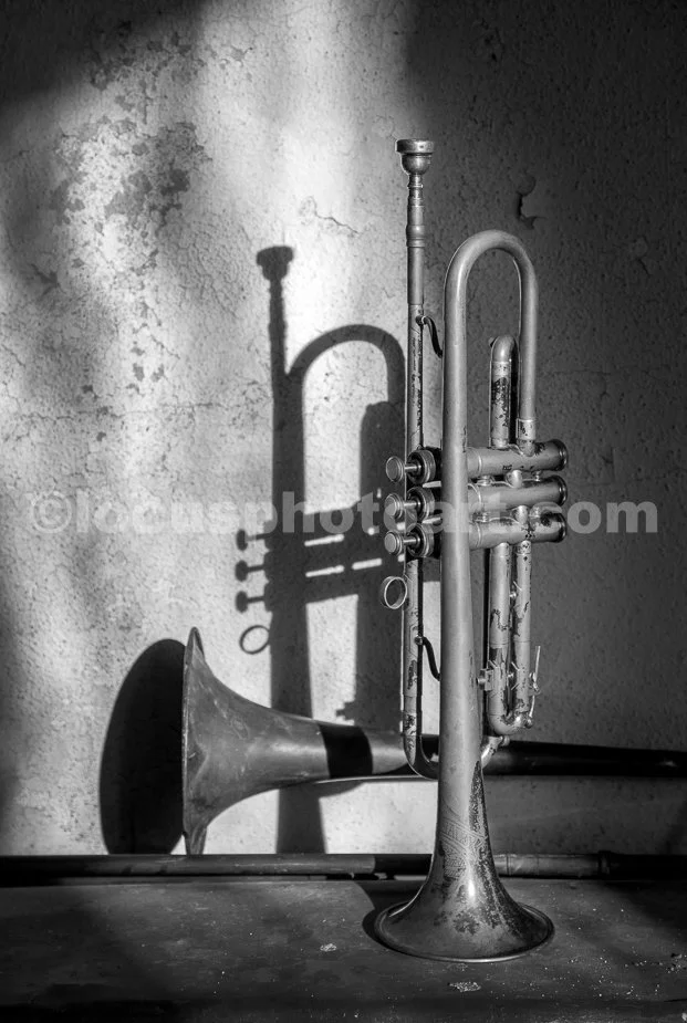 J23_Musical_Shadows_0088_BW.jpg