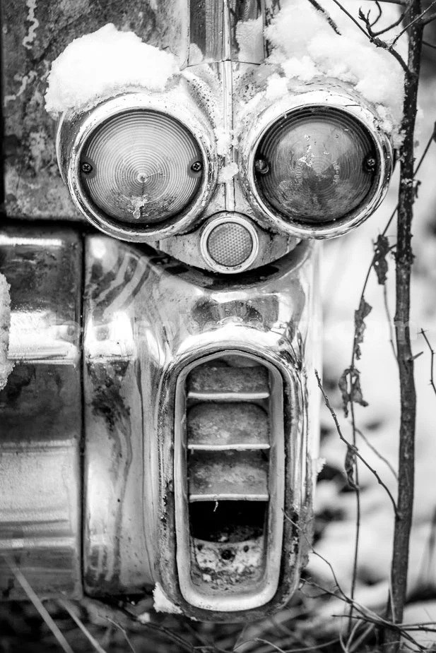J21_Cadillac_Alien_Robot_Face_3718_BW.jpg