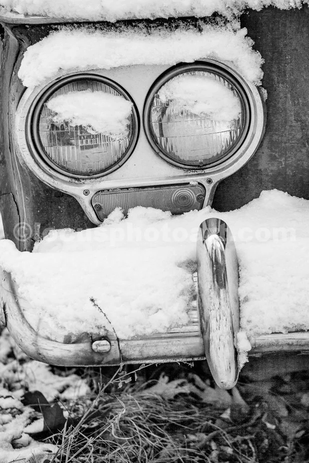 J21_Owl-Faced_Auto_3458_BW.jpg