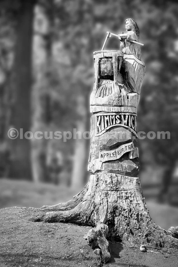 J16_Kimmswick_Carved_Stump_2979_BW.jpg