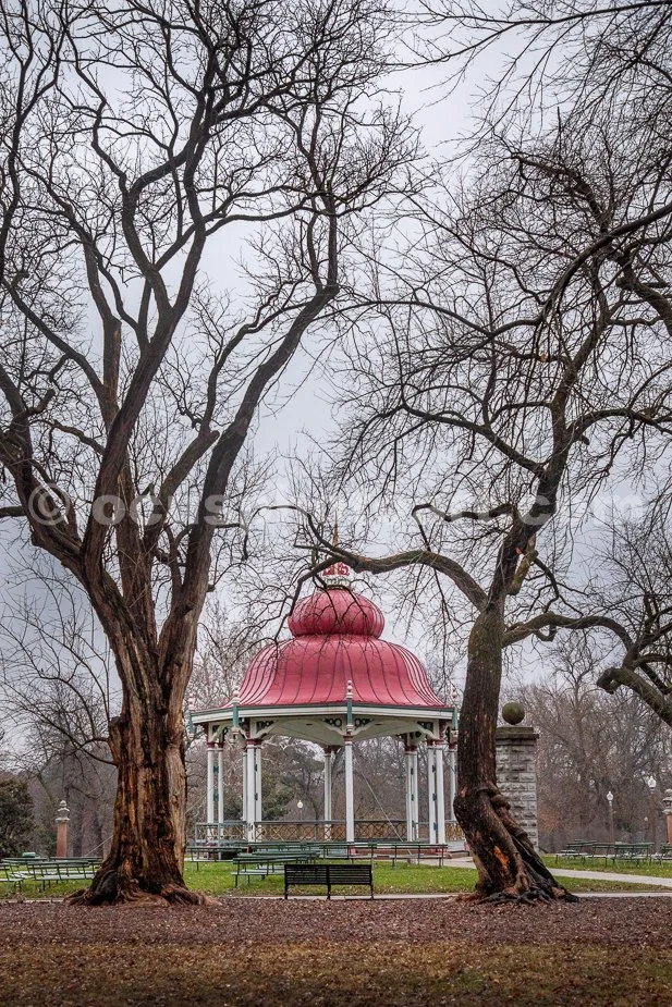 J24_Bandstand_Through_the_Trees_3035.jpg
