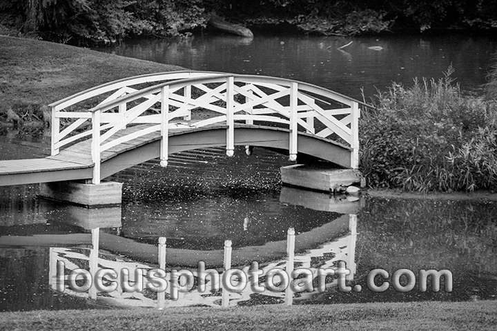 WEB J19 Bucolic Bridge 7523 BW.jpg