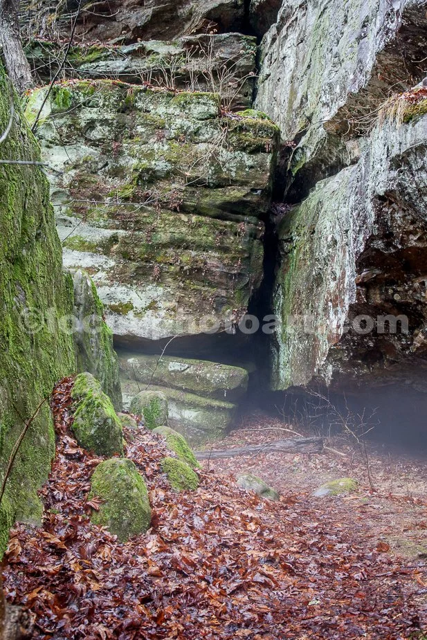 J21_Sandstone_Canyon_Fog_4642.jpg