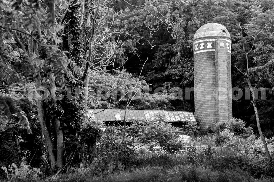 J24_Brick_Silo_in_the_Woods_9598_BW.jpg