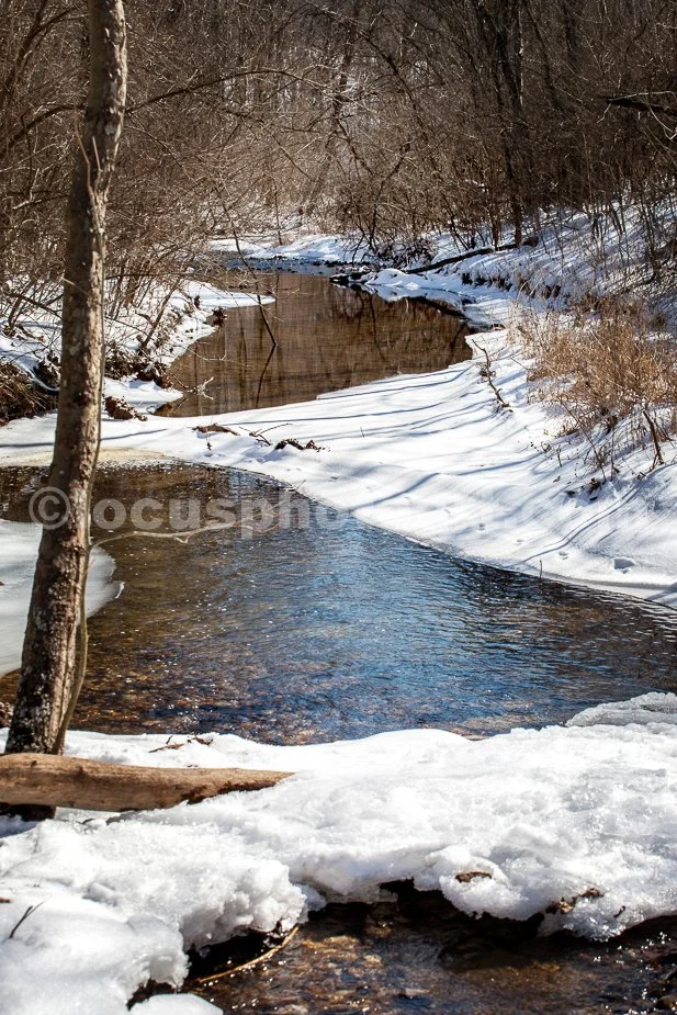 J21_Snowy_Creek_5405.jpg