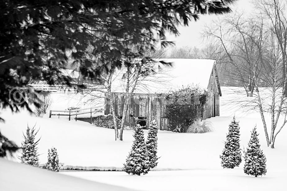 J19_The_Last_Old_Barn_at_Villa_Marie_5663_BW.jpg