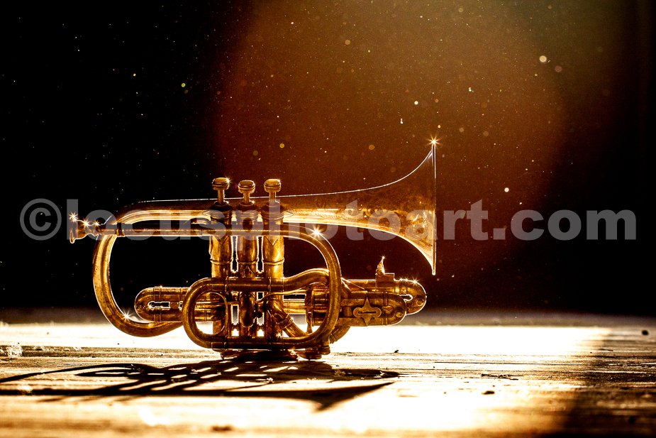 J17_Cornet_in_the_Spotlight_7663.jpg