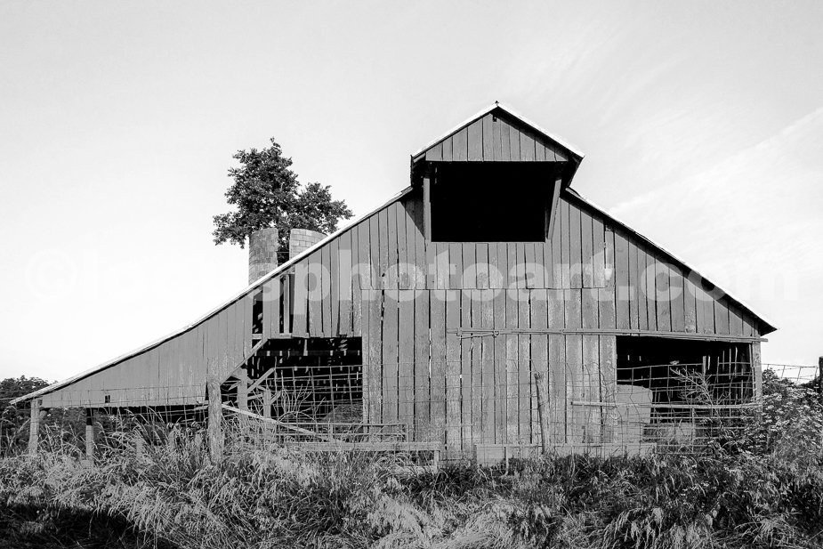 J24_Red_Barn_at_Dawn_9515_BW.jpg