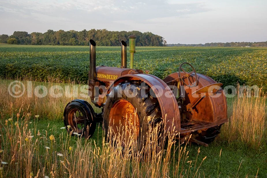 J23_Deere_by_the_Bean_Field_2487.jpg