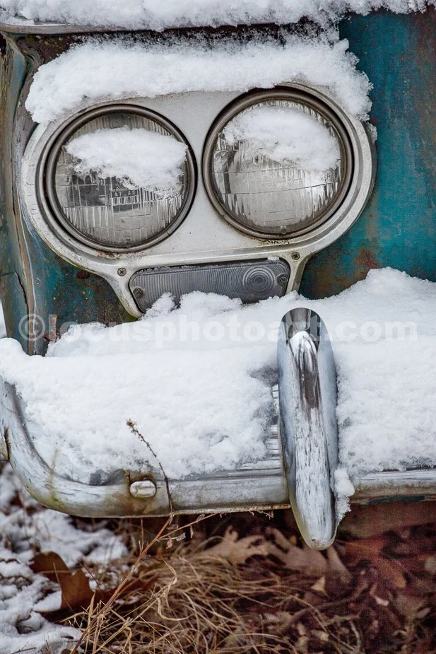 J21_Owl-Faced_Auto_3458.jpg