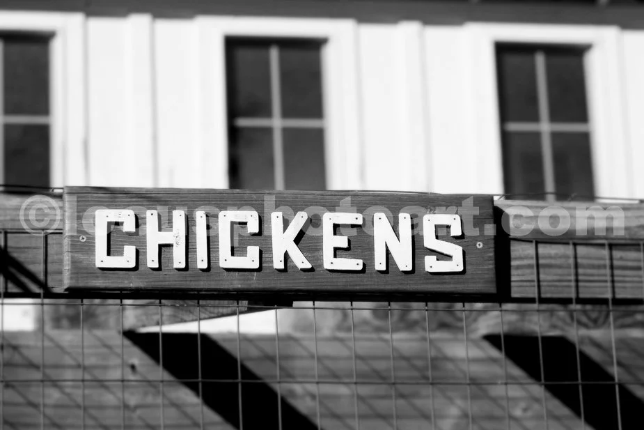 Sign_Chickens_3908_BW.jpg