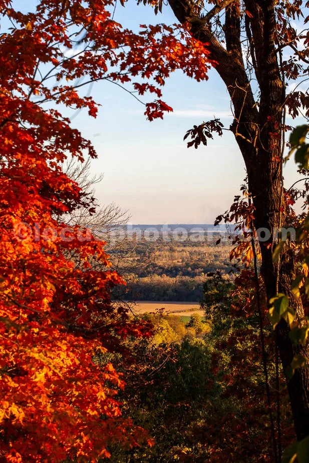 View from the Bluffs
