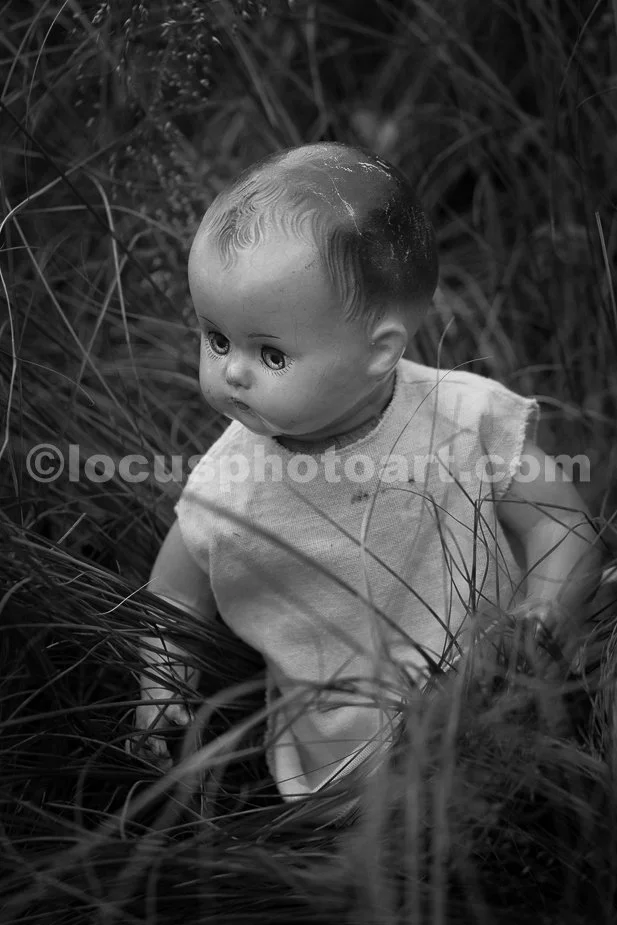 J23_Hiding_in_the_Tall_Grass_2438_BW.jpg