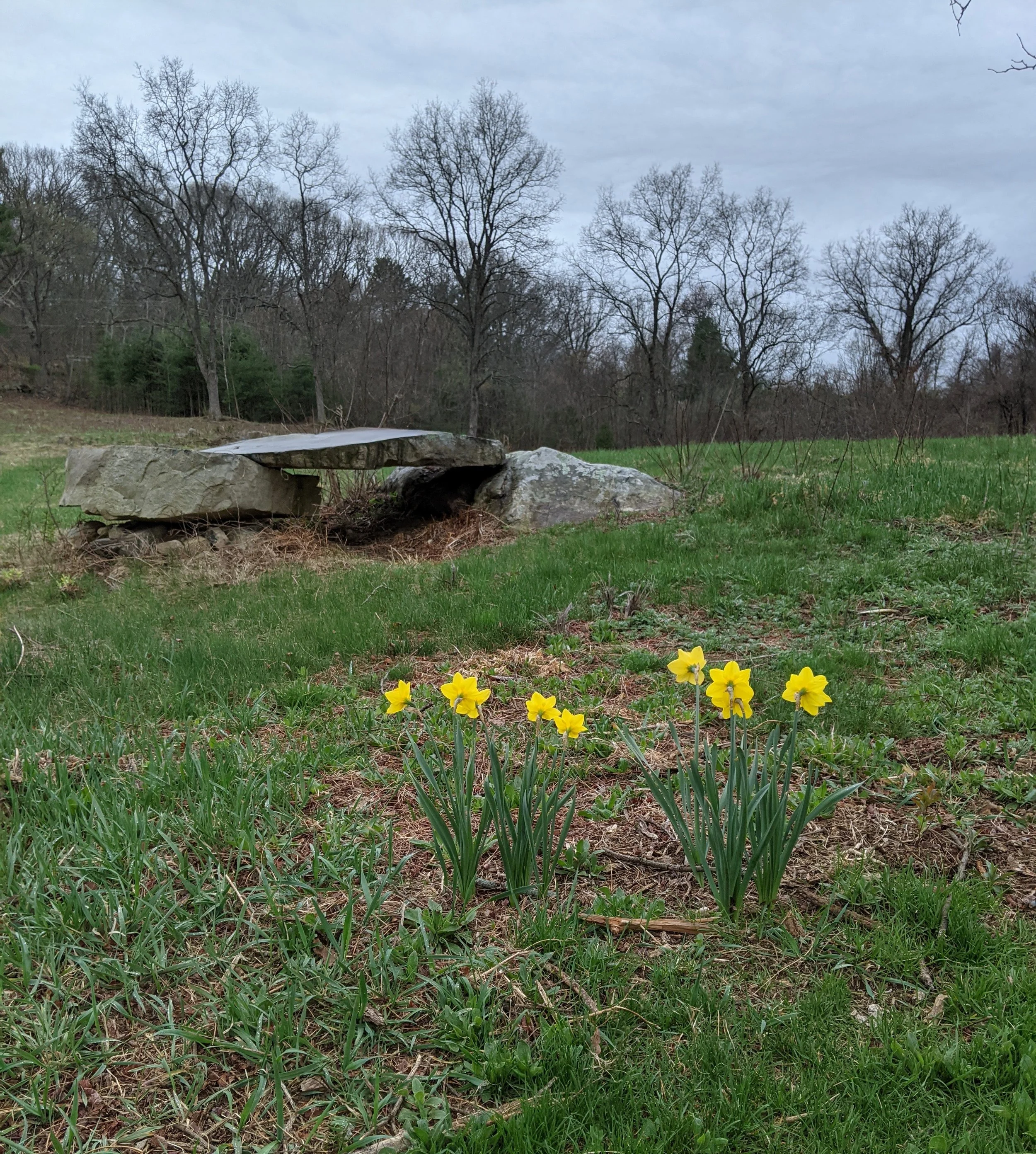 Pollinator Meadow Project Volunteer Day