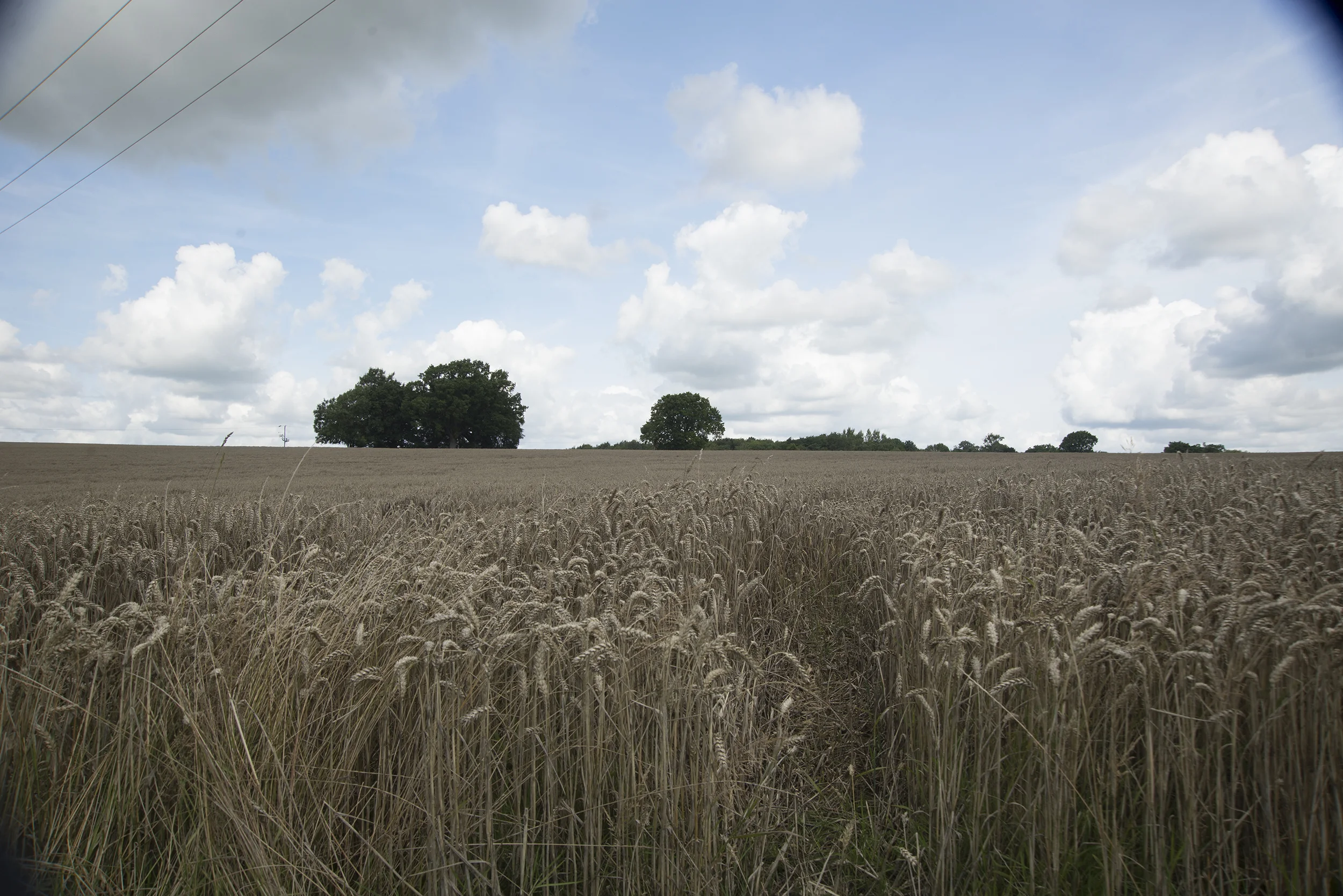 The original photo, taken directly from a Nikon D610