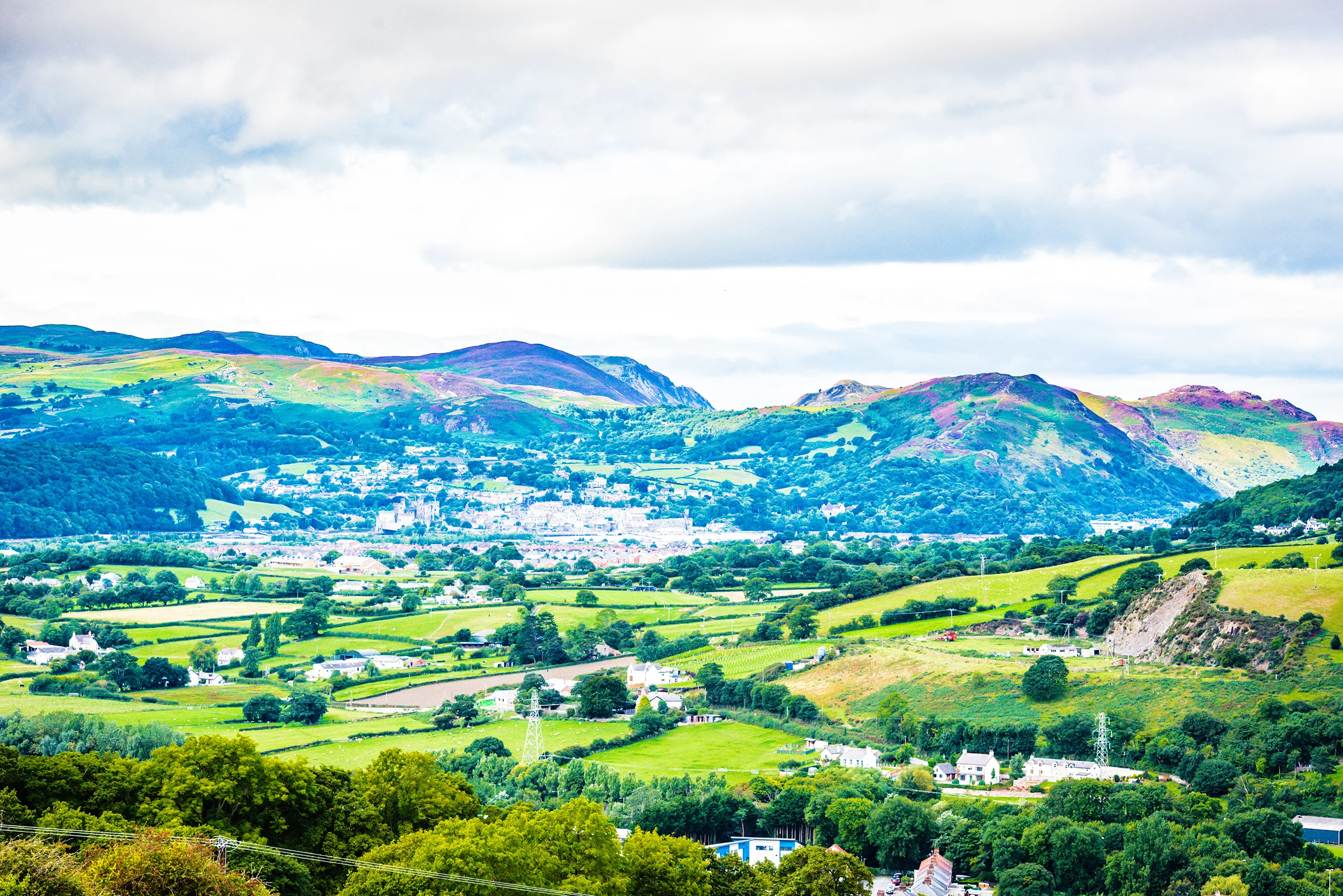 One of the views from Welsh Mountain Zoo