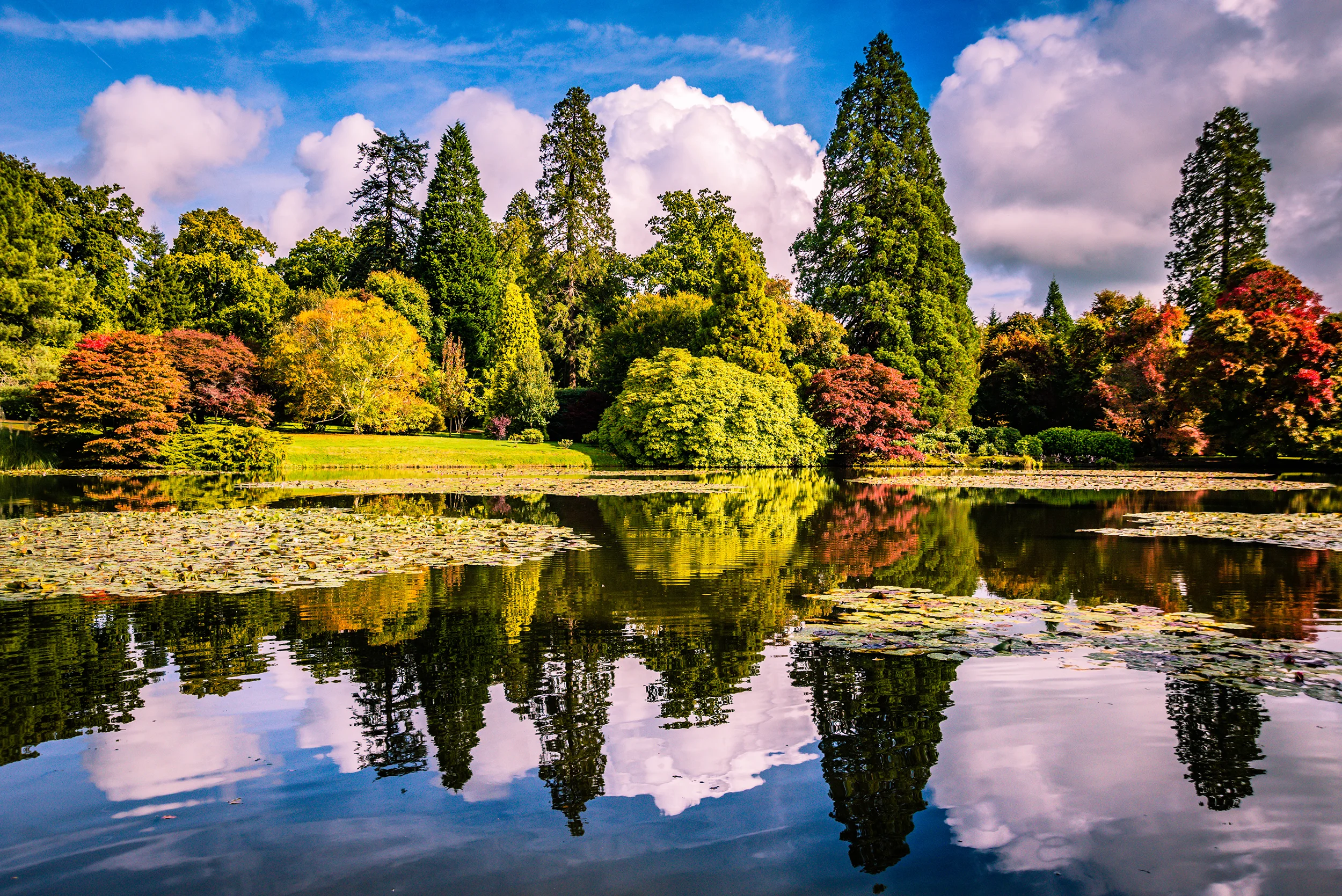 SheffieldPark-5sml.jpg