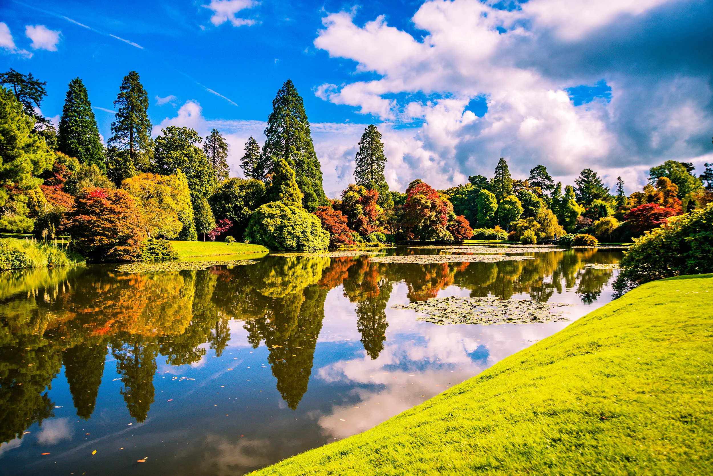 SheffieldPark-25sml.jpg