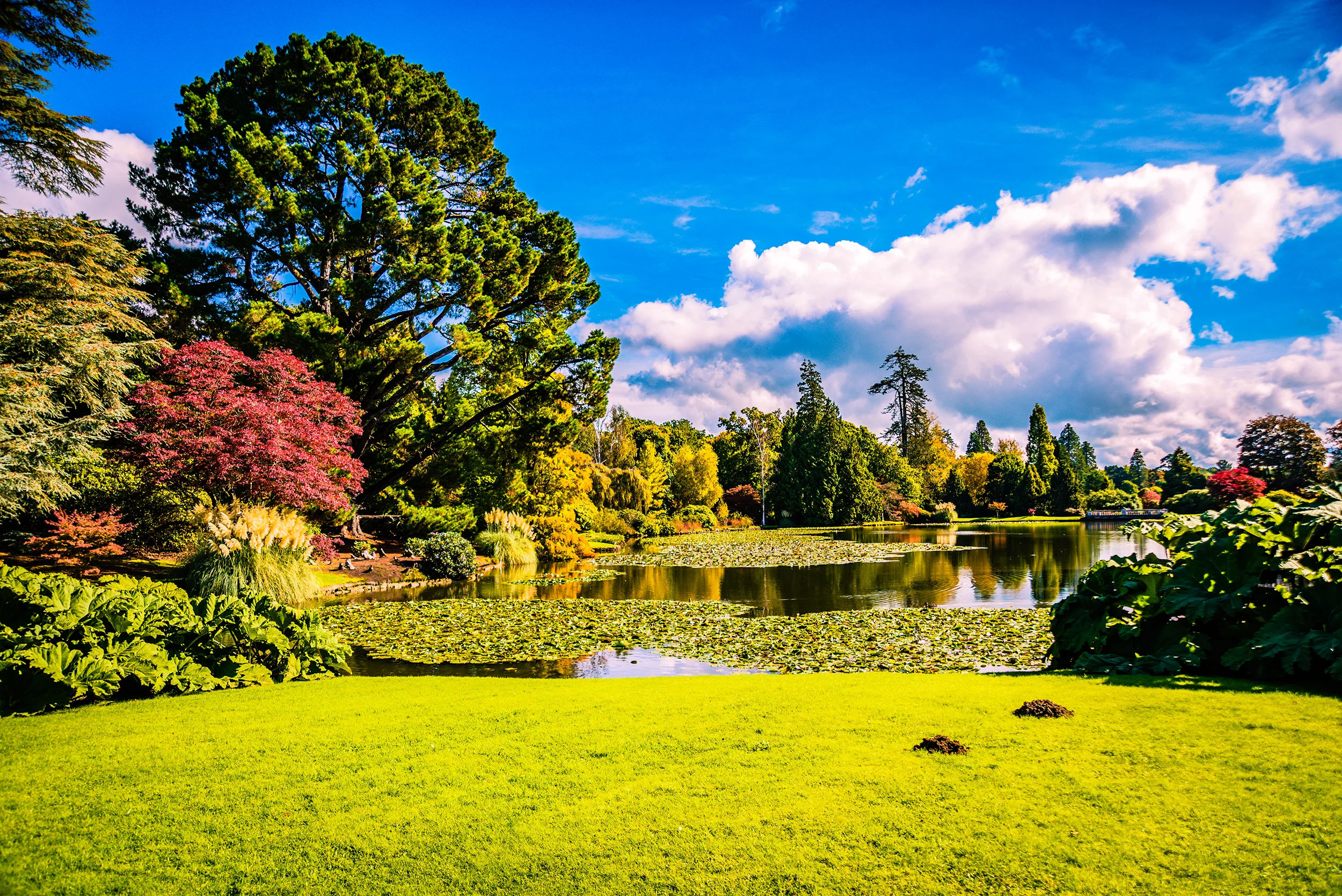 SheffieldPark-29sml.jpg