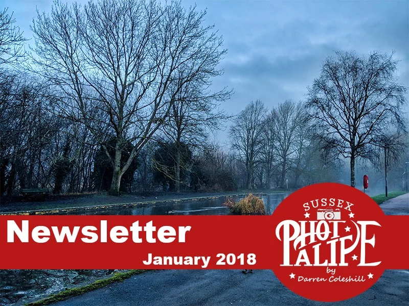 Newsletter Header jan.jpg
