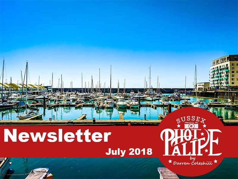 Newsletter july 20.jpg