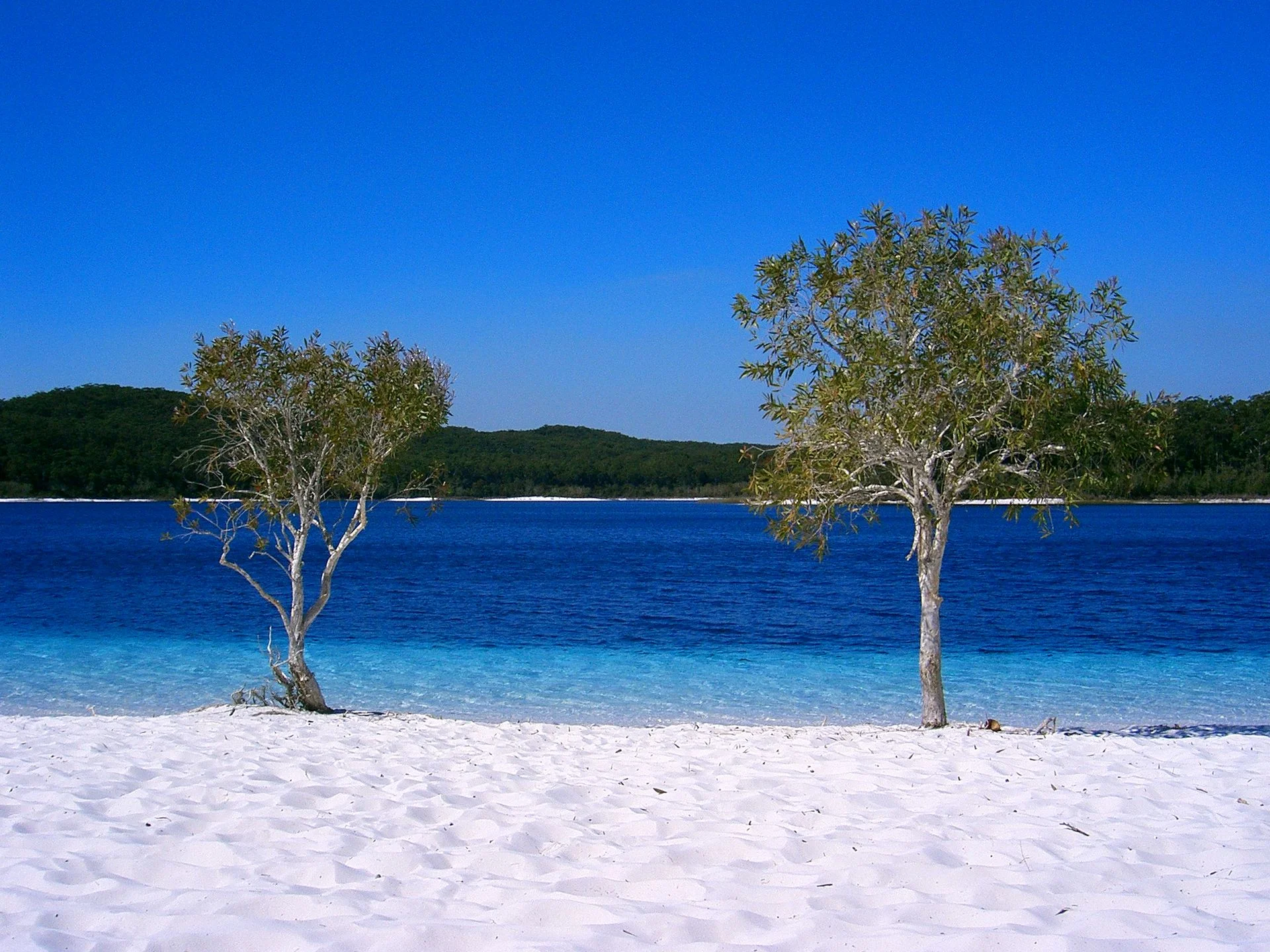 LakeMcKenzie_1.jpg