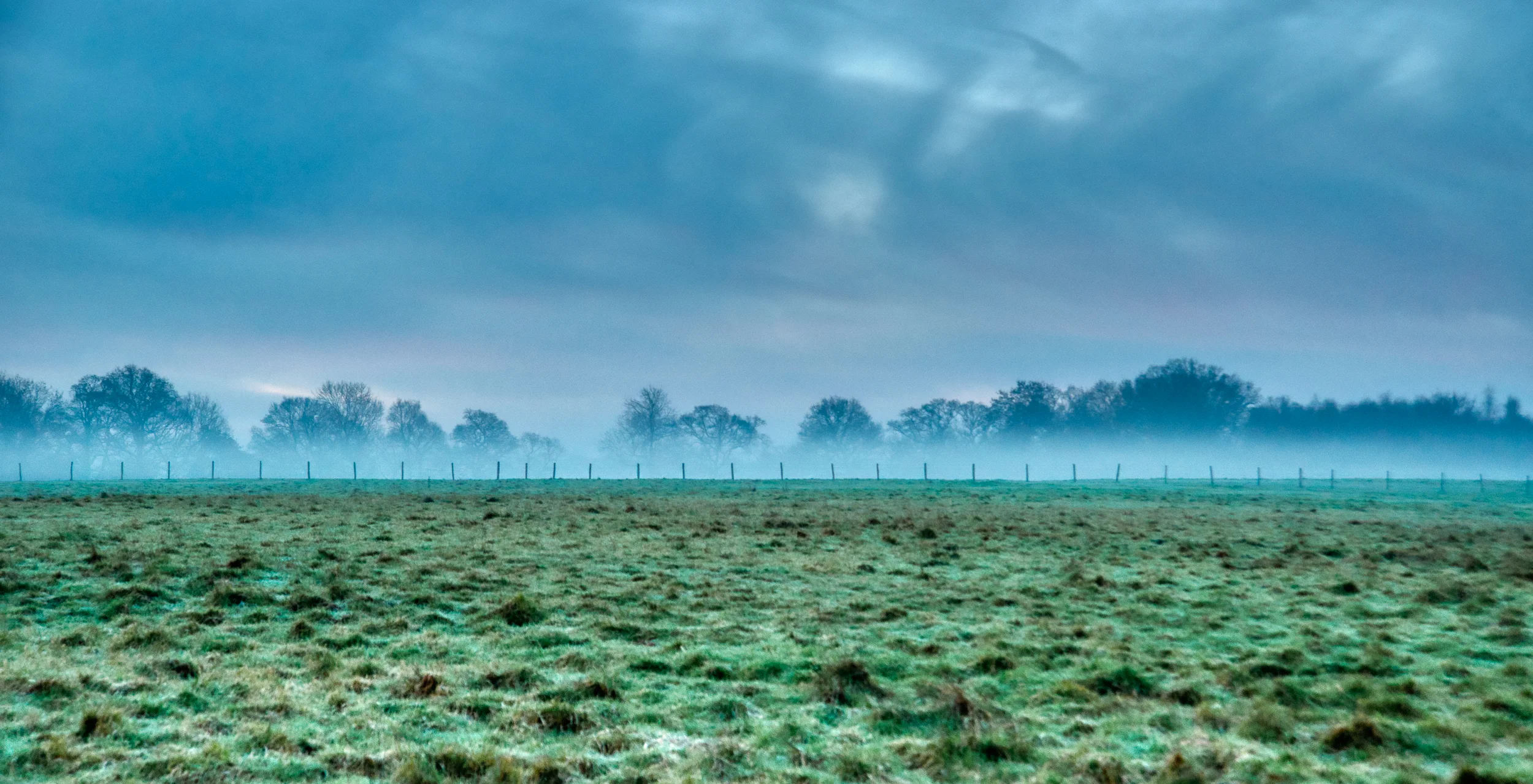 DSC_7191_edit.jpg
