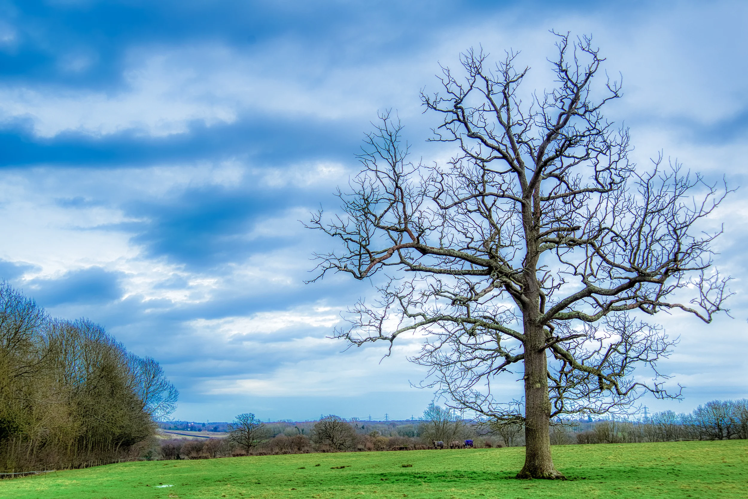 DSC_7551_edit.jpg