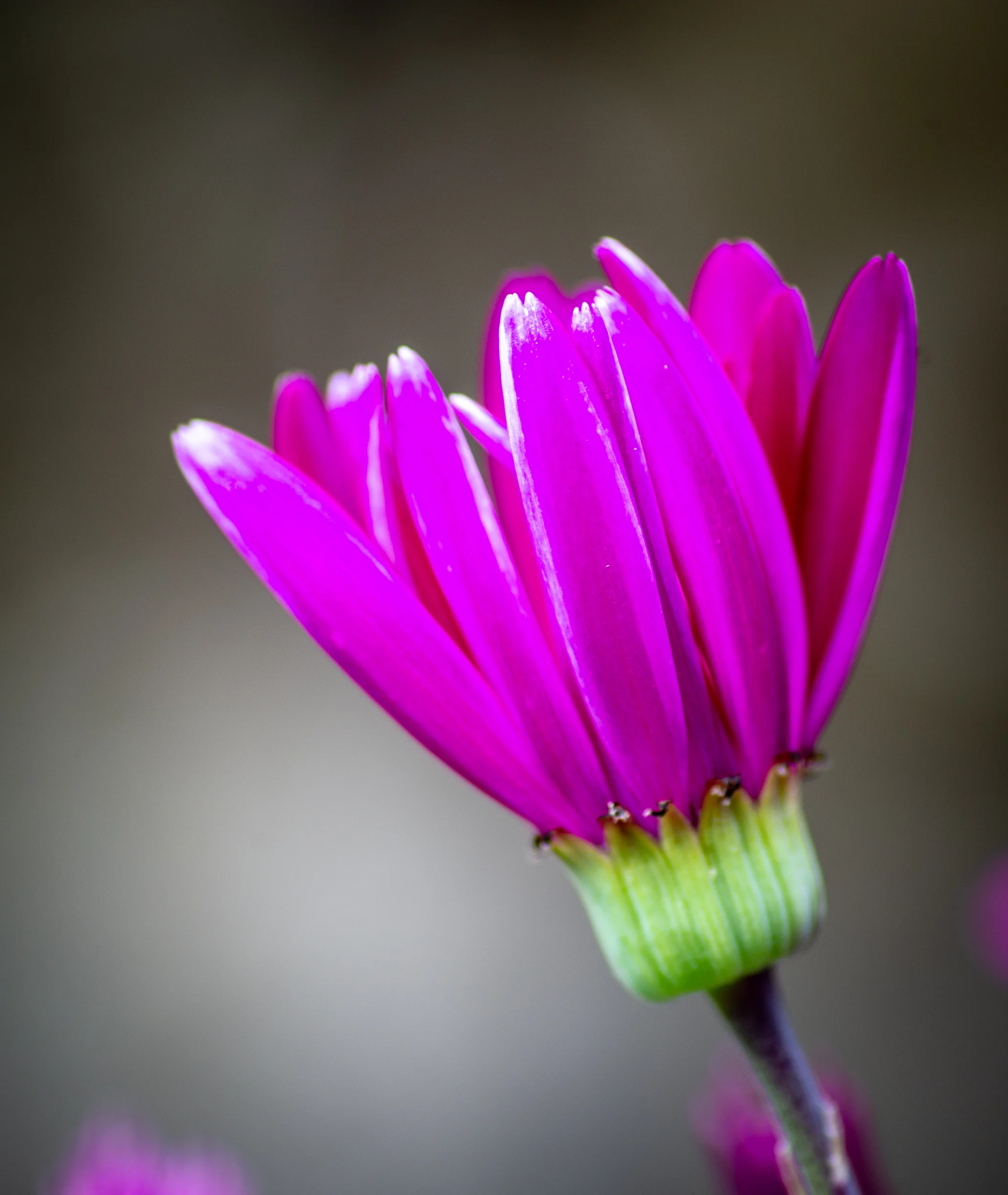 DSC_7622.jpg