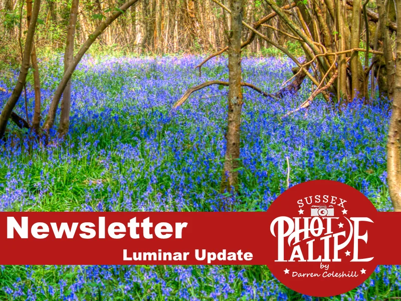 luminar newsletter.jpg